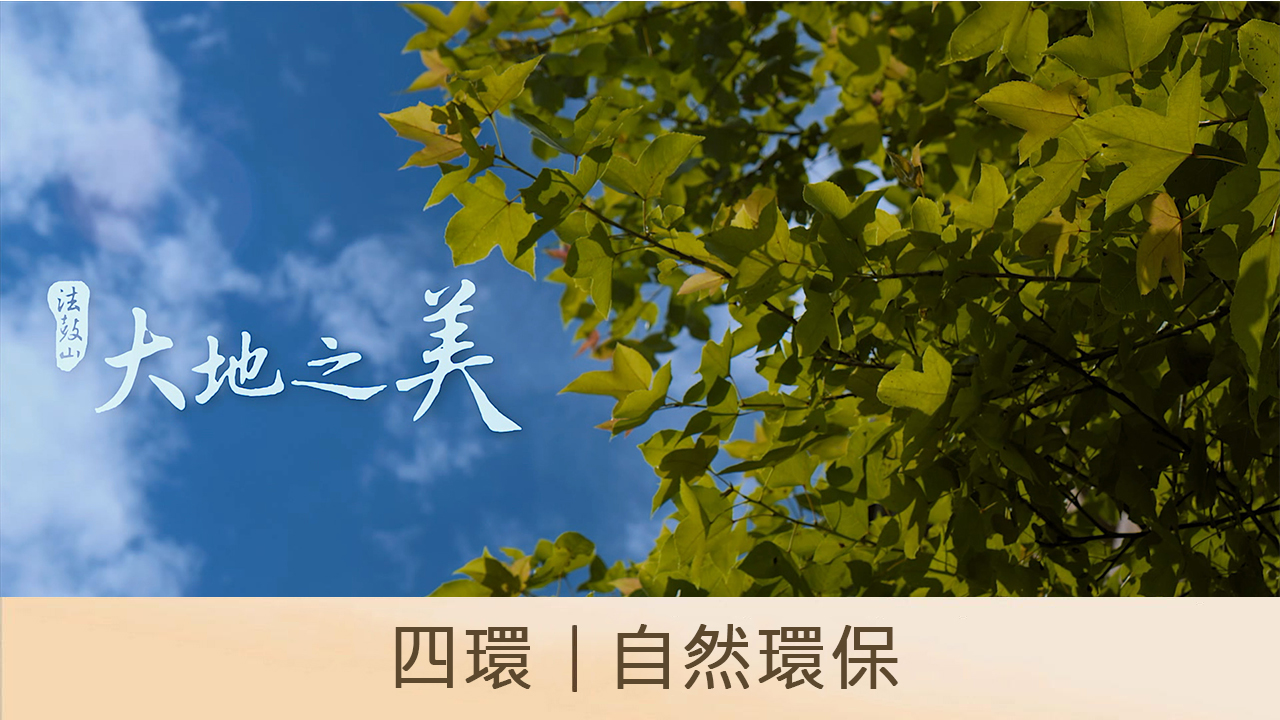 四環｜自然環保